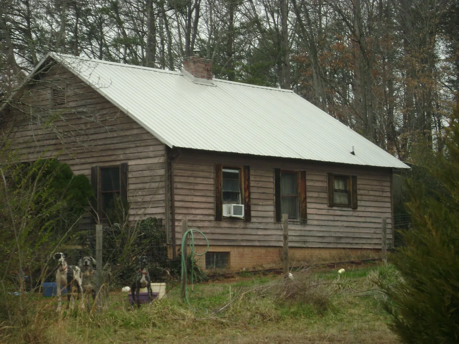 White metal roof on an old wood sided farmhouse in Thornwood